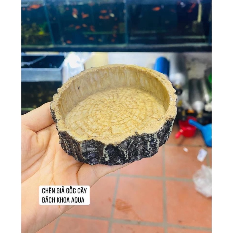 Chén đá giả gốc cây đựng thức ăn cho cá tép