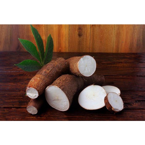 ] 7 KG CỦ KHOAI MÌ RUỘT TRẮNG DẺO.