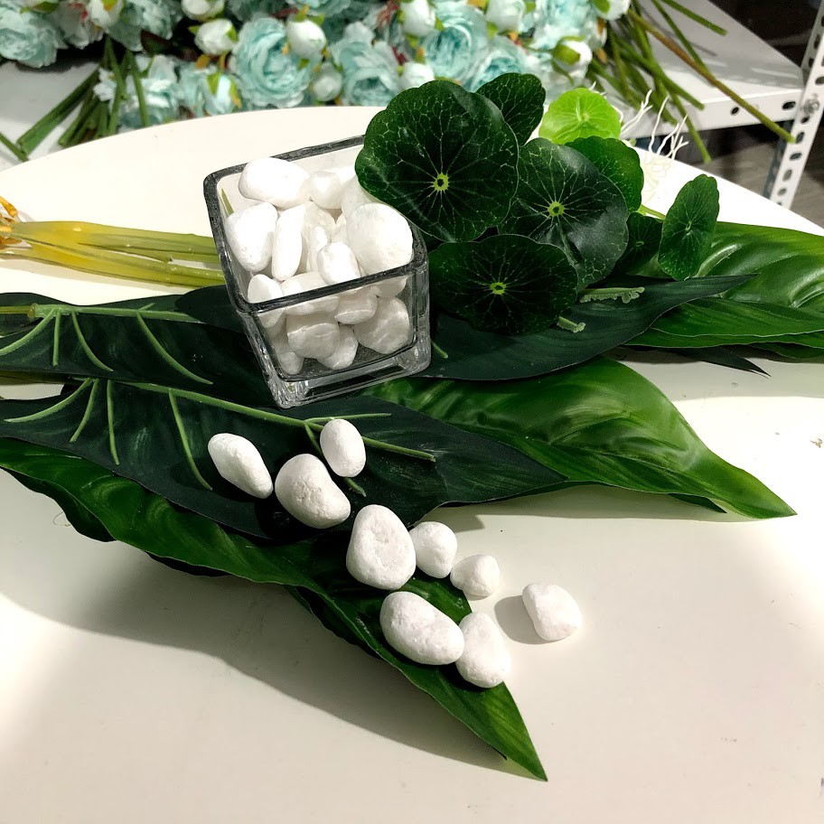 01 Gói Sỏi trắng trang trí lọ hoa thủy tinh hoặc phủ trên bề mặt các chậu sen đá hoặc cây cảnh