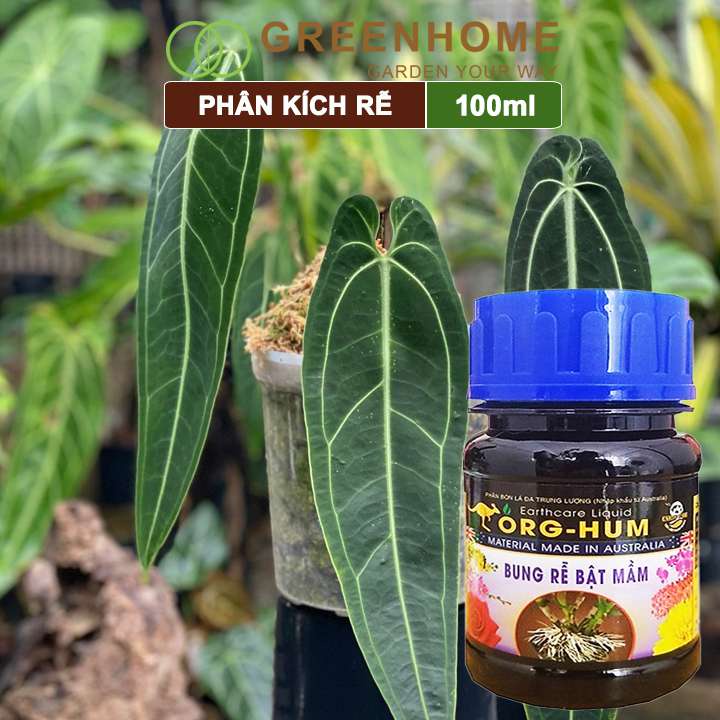 Phân bón lá kích rễ Greenhome, org hum, chai 100ml, dưỡng rễ, kích ra rễ, kích chồi, nảy mầm