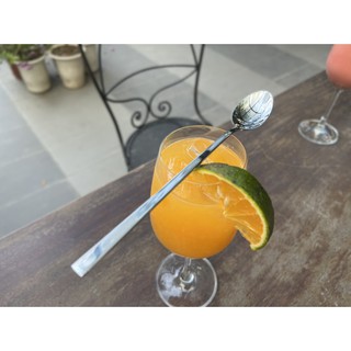 Thìa chanh Costa xuất Đức 20cm sét 5 chiếc.