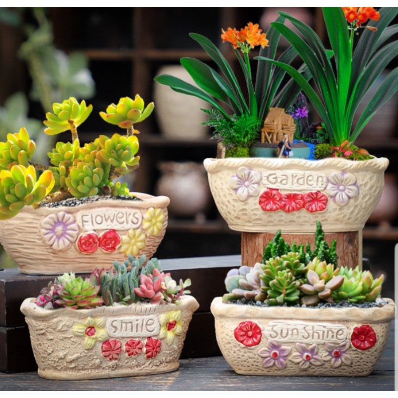 Chậu mini , trồng cây cảnh sen đá xương rồng giá rẻ