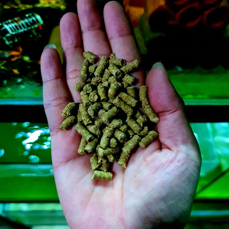 Thức ăn cho tép cảnh viên rau bina gói 50gr