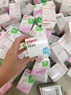 Núm ti pigeon nội địa nhật