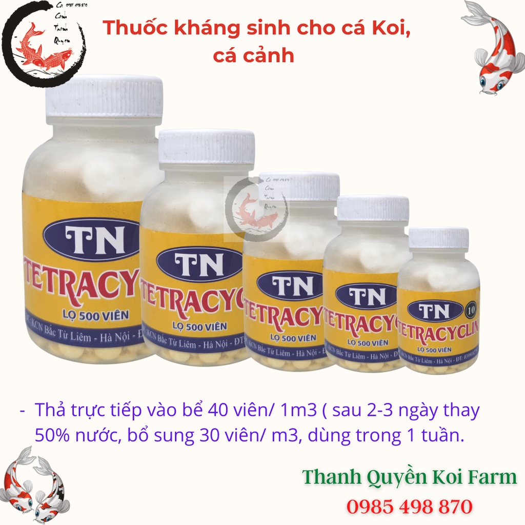 Thuốc kháng sinh trị lở loét nhiễm khuẩn cho cá Koi, cá cảnh TN 10 Lọ 500 viên