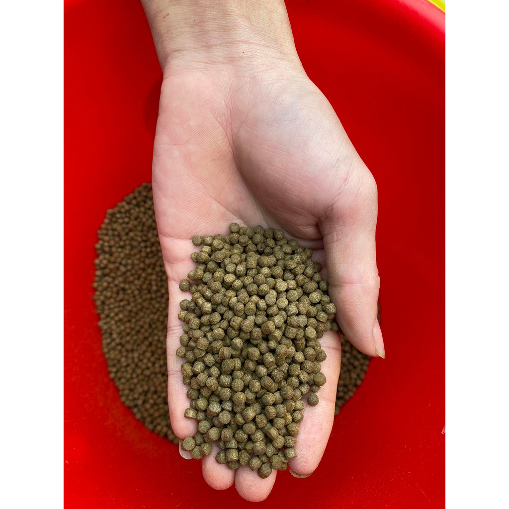 Cám cá koi Hikari Daily đỏ  - cám tăng trưởng, tăng màu cao cấp