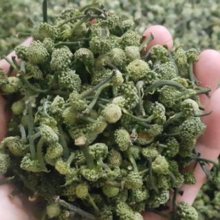 Combo măng nứa và nụ tam thất