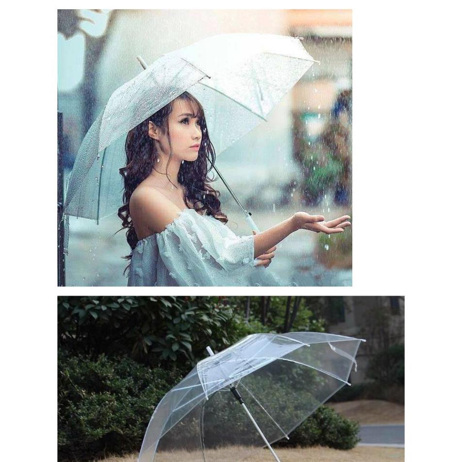 Ô trong suốt gấp gọn che mưa thời trang tiện lợi, Dù trong suốt cao cấp chắn chắn độ bền cao nhập xịn