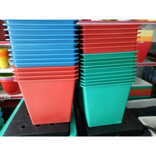 combo 5 chậu vuông màu - size 35 cm