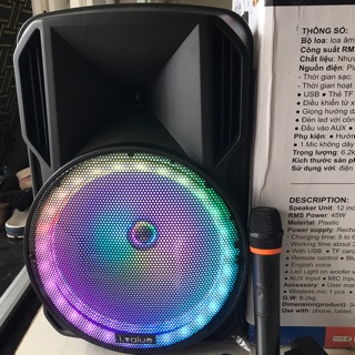 Combo Loa Bluetooth Karaoke i.value F12-65N Nhựa đen + Mic không dây