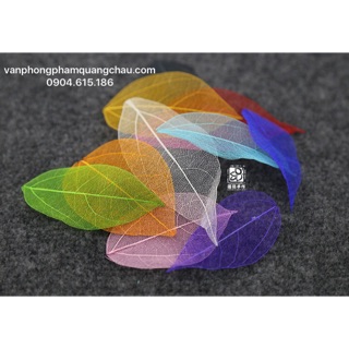 Lá khô ép màu - 10 lá