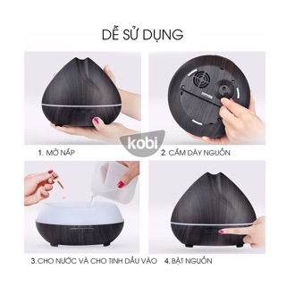 Combo đèn xông tinh dầu nhà Bún