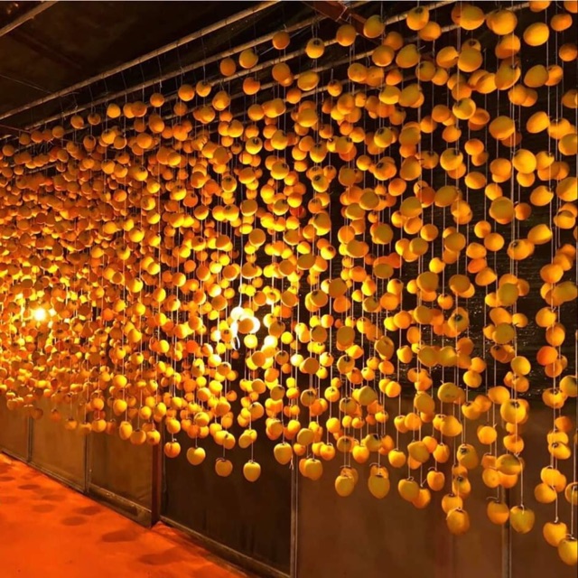 Hồng treo Đà Lạt