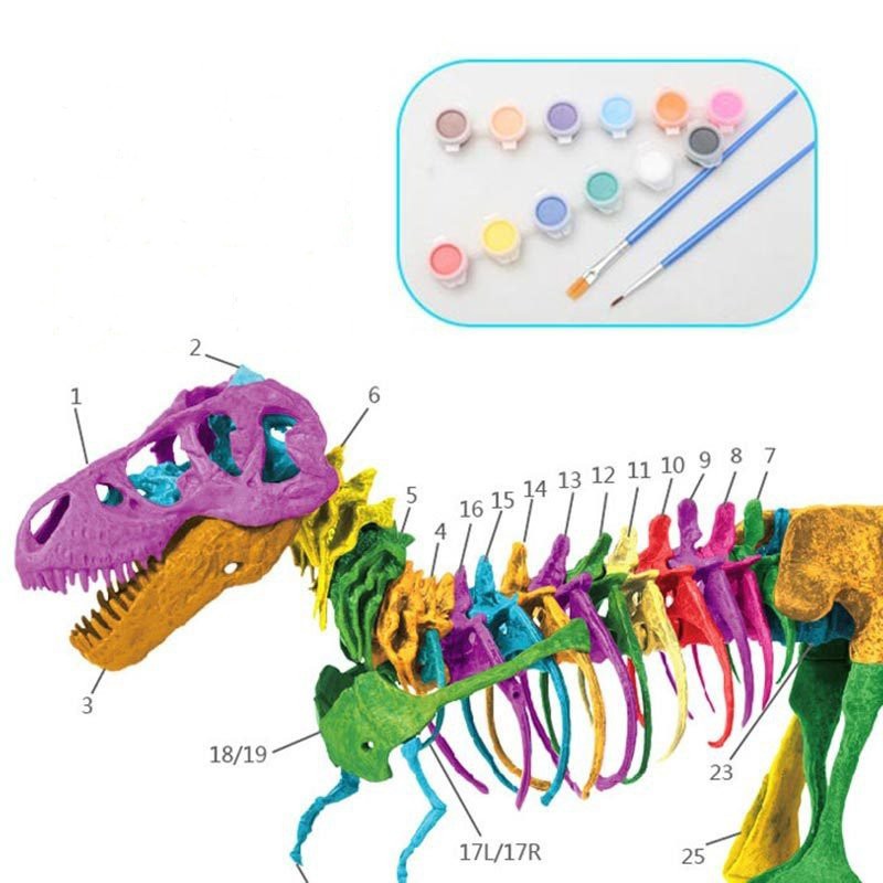 BỘ ĐỒ CHƠI LẮP RÁP MÔ HÌNH XƯƠNG KHỦNG LONG T-REX KÈM MÀU VẼ