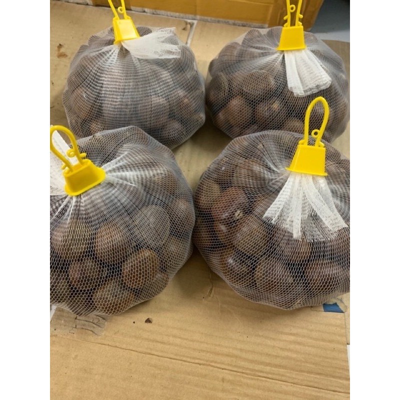 Hạt dẻ tươi Loại 1