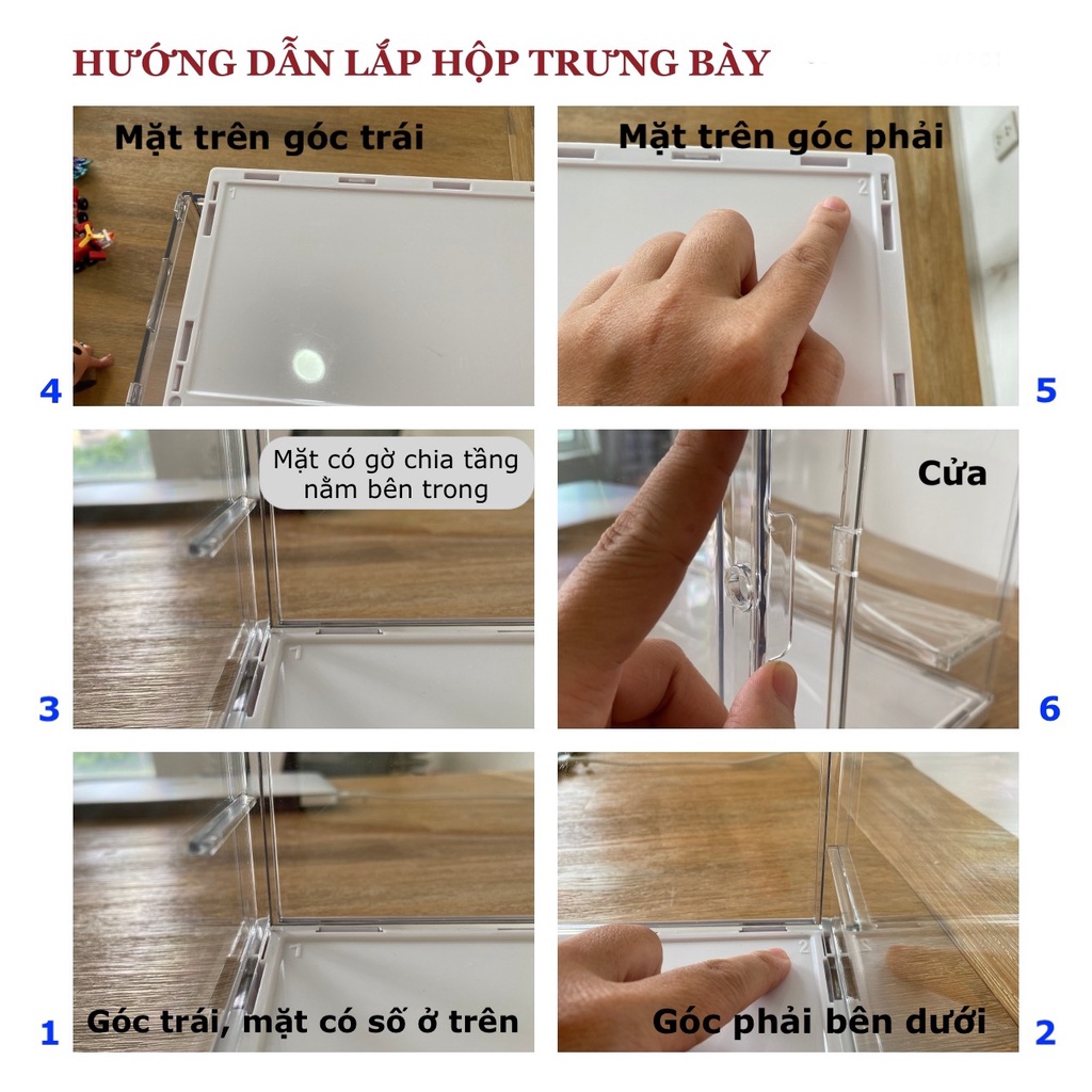 Avashop66  Hộp Đựng Nước Hoa Để Bàn Đa Năng Tiện Dụng