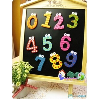 Bộ 10 số gỗ có nam châm