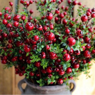 Cành lựu phú quý quả đỏ mini trang trí ( cây giả )