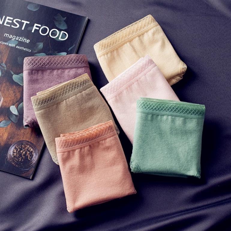 [Giá sỉ] Set 10 Quần Lót Cotton Cạp Lưới Cao Cấp