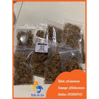 [QUẬN 2 SHIP NOW] Sâu gạo rang
