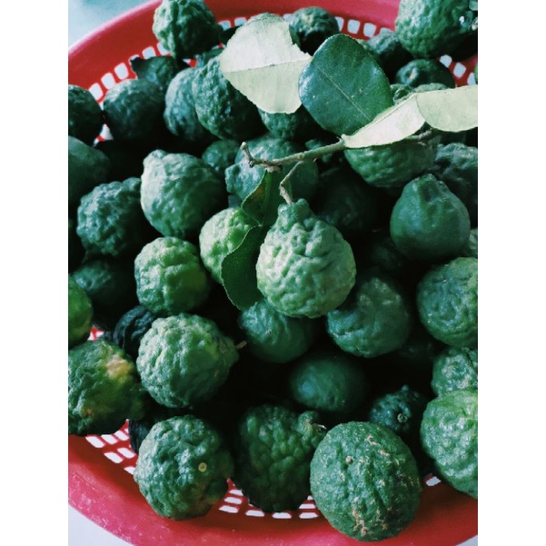Trái chúc 0,5kg giá 50k. Trái chanh thái. Trái chanh não người