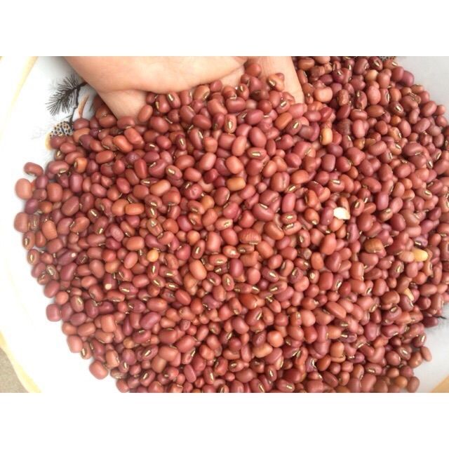 Hạt đậu đỏ quê( đậu giống _hạt nhỏ (