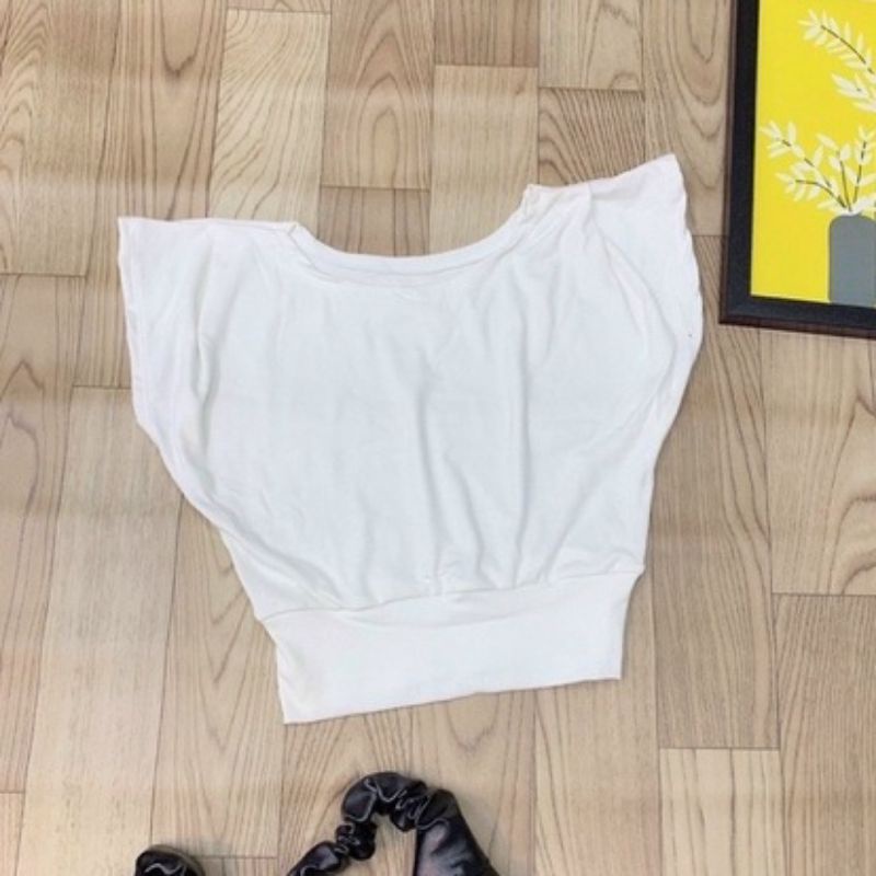 Áo thun cánh dơi bo eo vải dầy xịn xò(B.C)