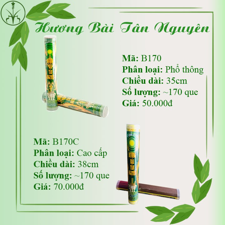 HƯƠNG SẠCH TÂN NGUYÊN - Nhang Bài không hóa chất ống 170 que B170C