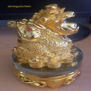 cóc thiềm thừ vàng củ cải