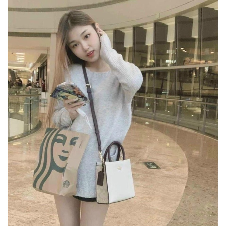 Túi Coach mini