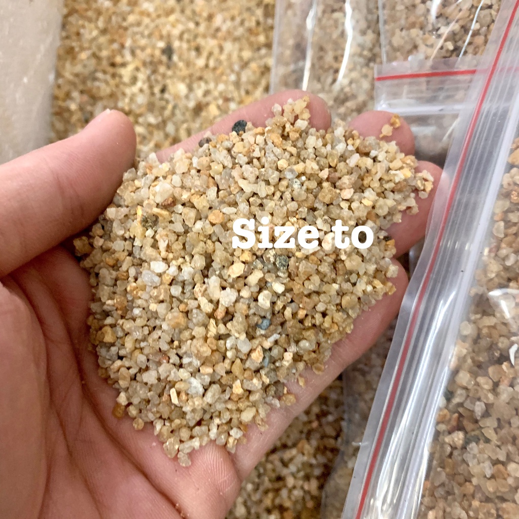 Cát, Sỏi Nắng Vàng 3 Kích Cỡ Hạt- Túi 500gr