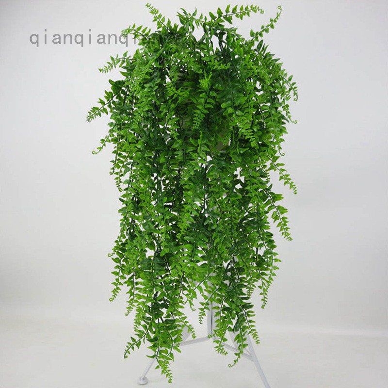 Qianqian Home & Living