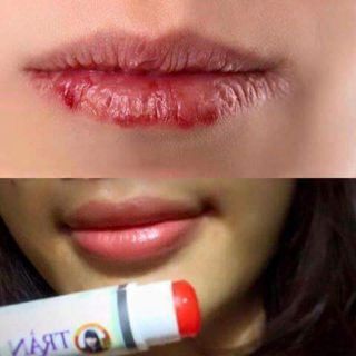 SON DƯỠNG GẤC TRẦN MAO
