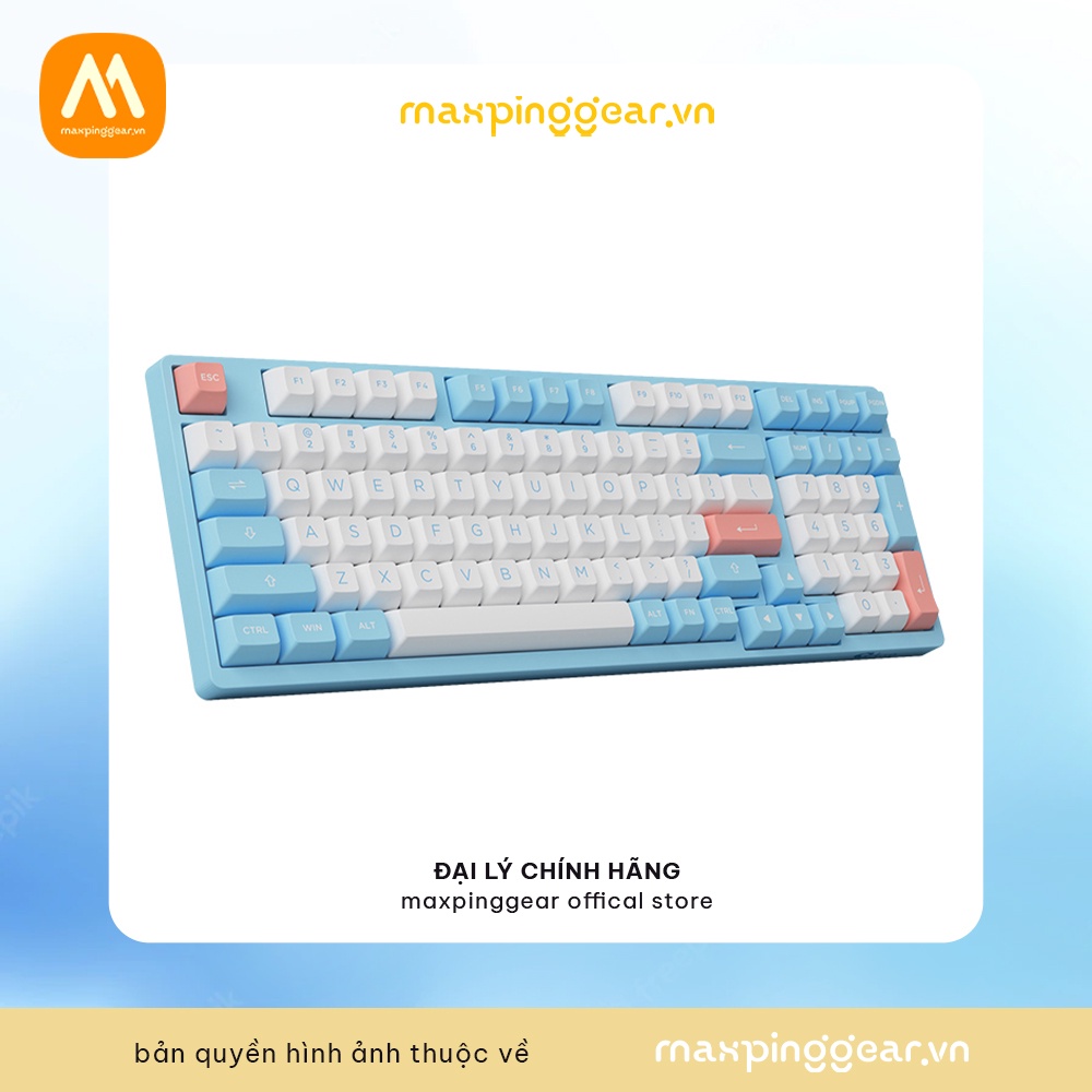 Bàn phím cơ AKKO 3098B Multi-modes Doll of the Princess (Bluetooth 5.0 / Wireless 2.4Ghz / Hotswap / Foam tiêu âm / AKKO