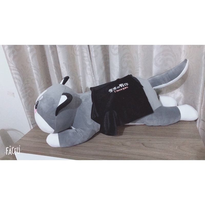 Gấu Bông Chó Husky, Mèo Husky Siêu Yêu