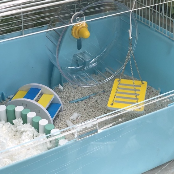Đồ chơi hamster, CẦU VƯỢT XỐP ĐỦ MÀU cho hamster, sóc, bọ, nhím