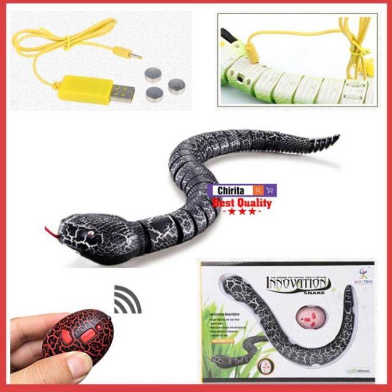 Đồ chơi con gián điều khiển - rết - động vật từ xa diều khiển - đồ chơi thú điều khiển tặng kèm pin