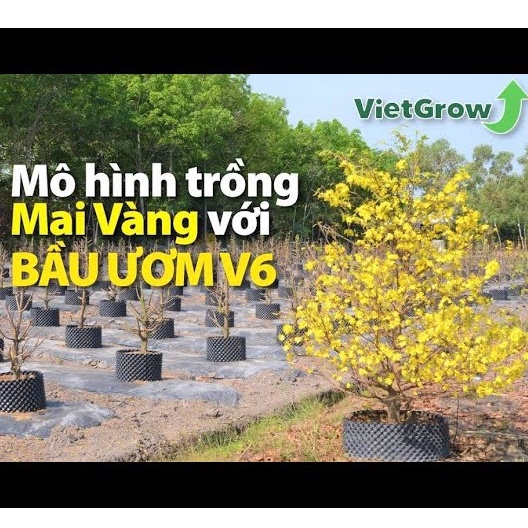 Bầu ươm cây V6 cao 30cm loại dày  nhựa bầu cây, kèm bộ vít bắt, hàng chuẩn loại tốt