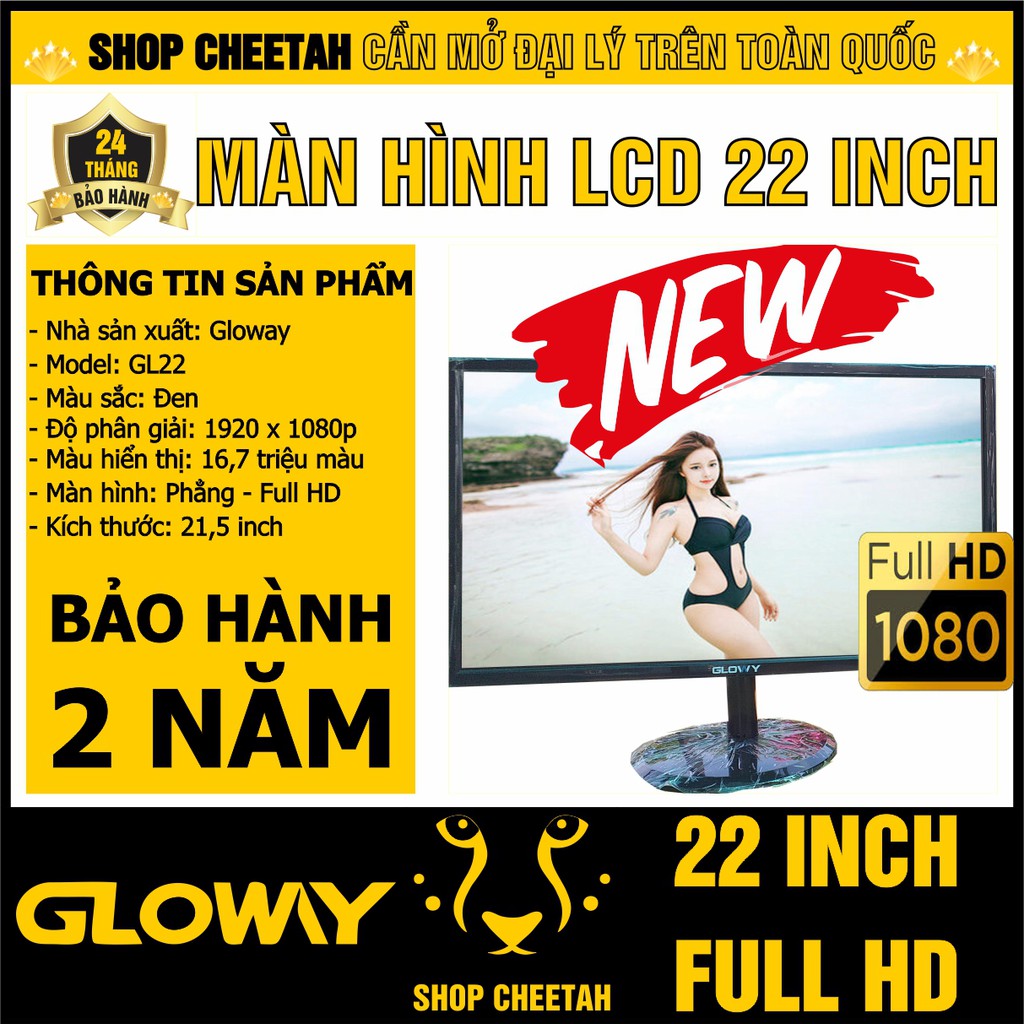 Màn hình LCD Gloway 22 inch - Full HD 1680 x 1050P - Chính hãng – Bảo hành 24 tháng