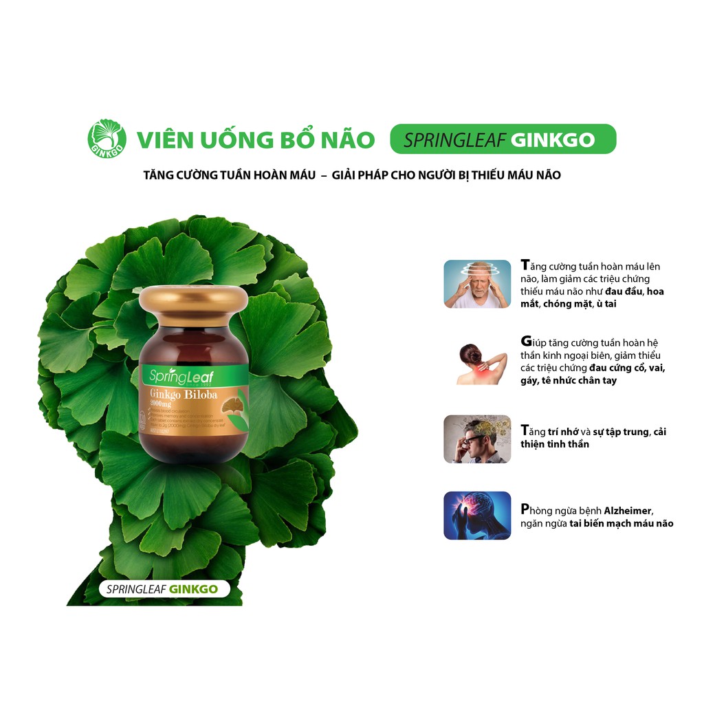 (Hàng nhập) Spring Leaf Ginkgo Biloba – Hỗ trợ hoạt huyết dưỡng não (Lọ 100 viên)