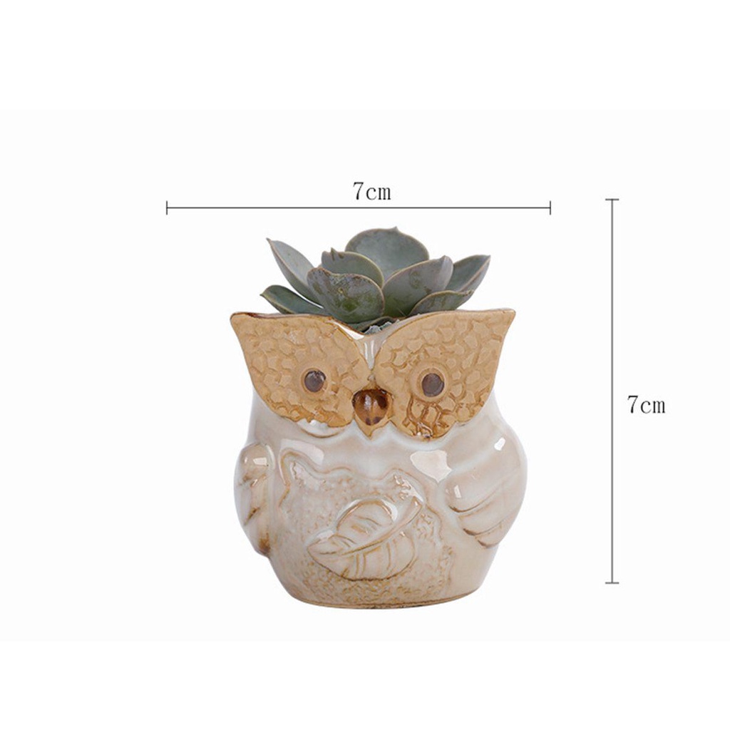 YIYU Chậu Cây Bằng Gốm Sứ Kiểu Dáng Dễ Thương Xinh Xắn