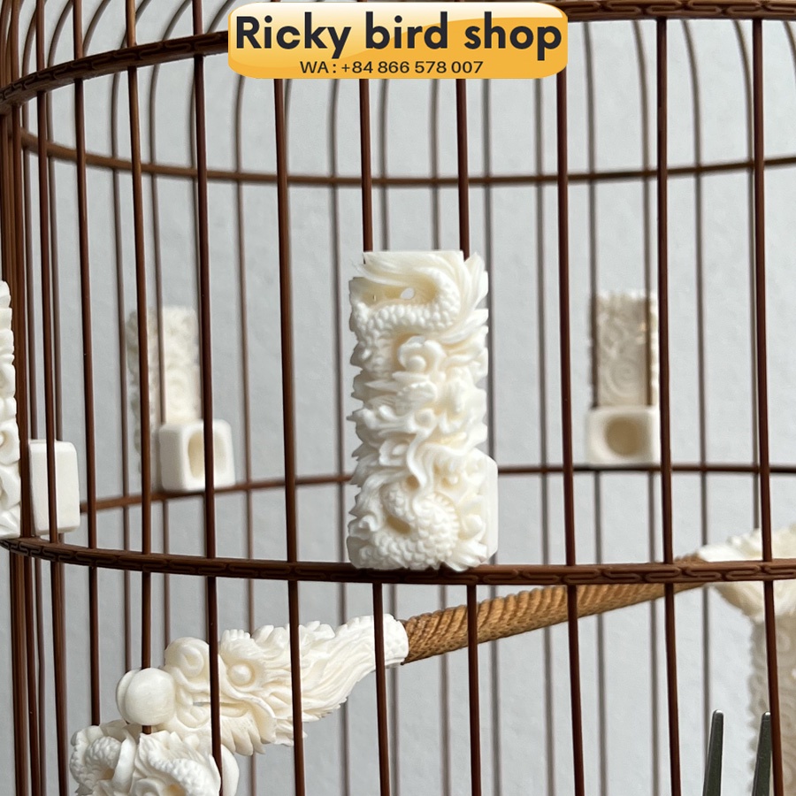 Lồng khuyên chạm rồng 3D độ xương siêu VIP