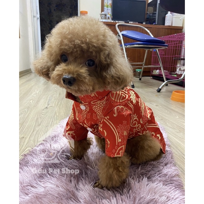 Áo dài Tết 🧧 Áo dài vải gấm cao cấp cho chó mèo
