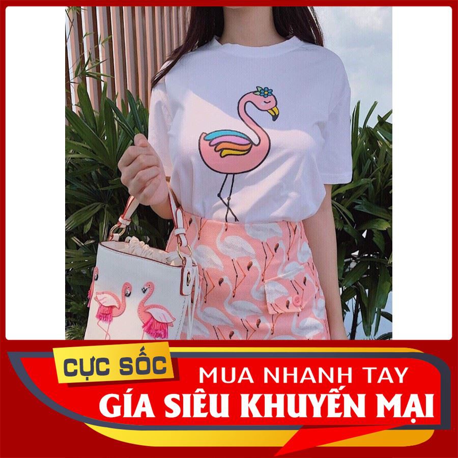 [ Rẻ Vô Địch ] Nhập WA146 hoàn 20k xu đơn 150k_ Set đồ nữ mùa hè 2019 Cực Xinh CCT35 thời trang nem