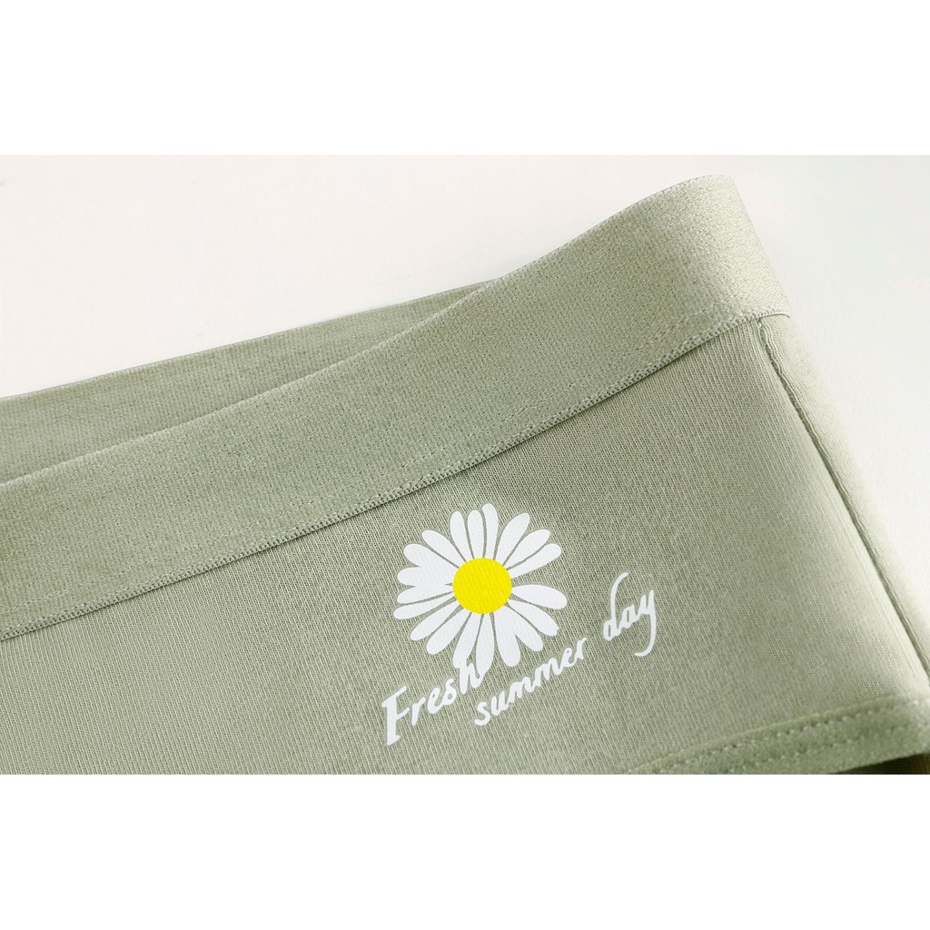 Quần Lót Cotton Kháng Khuẩn Họa Tiết Hoa Cúc Nhỏ Phong Cách Nhật Bản Thời Trang Mùa Hè Cho Nữ | BigBuy360 - bigbuy360.vn