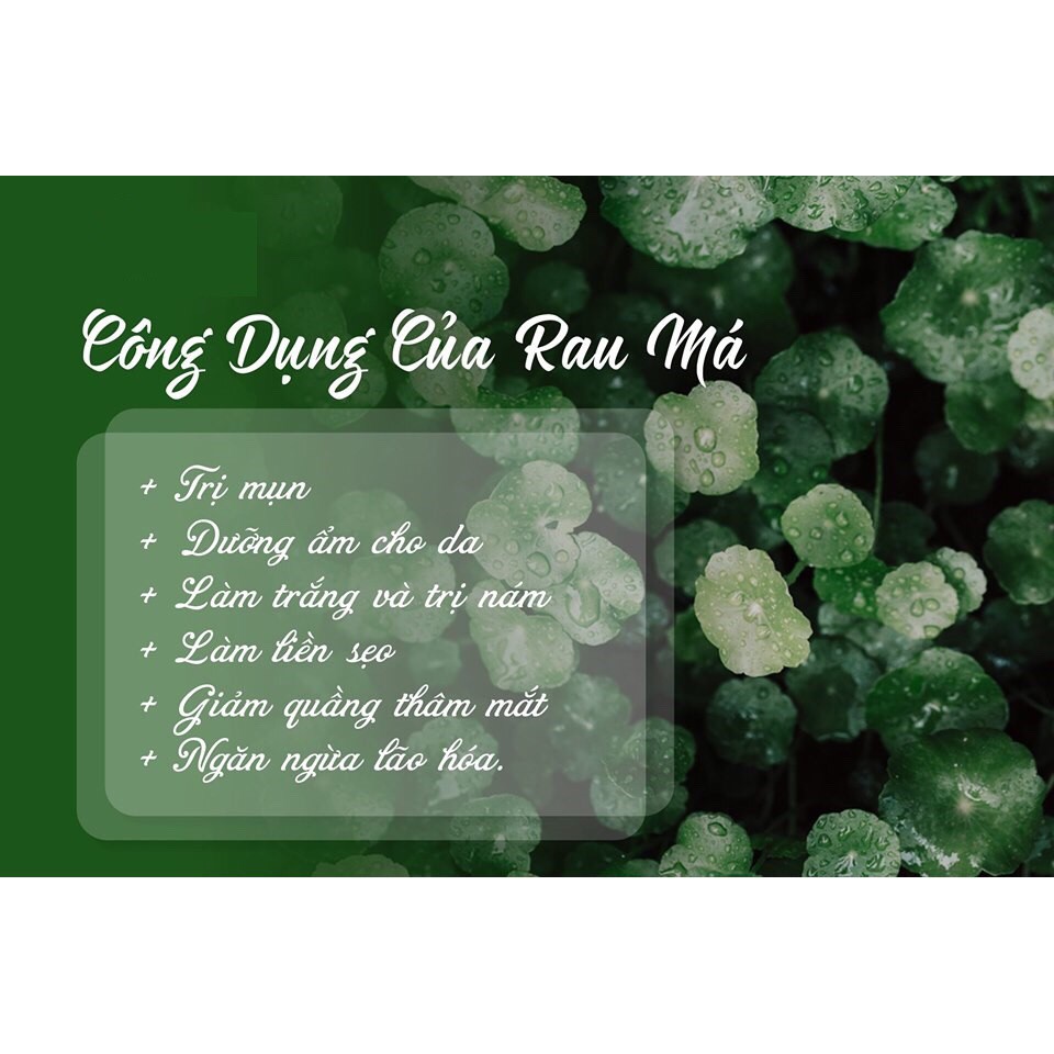 [Chính Hãng] Bộ 3 Sản Phẩm Chiết Xuất Rau Má Dịu Nhẹ Skin1004 Madagascar Centella | BigBuy360 - bigbuy360.vn