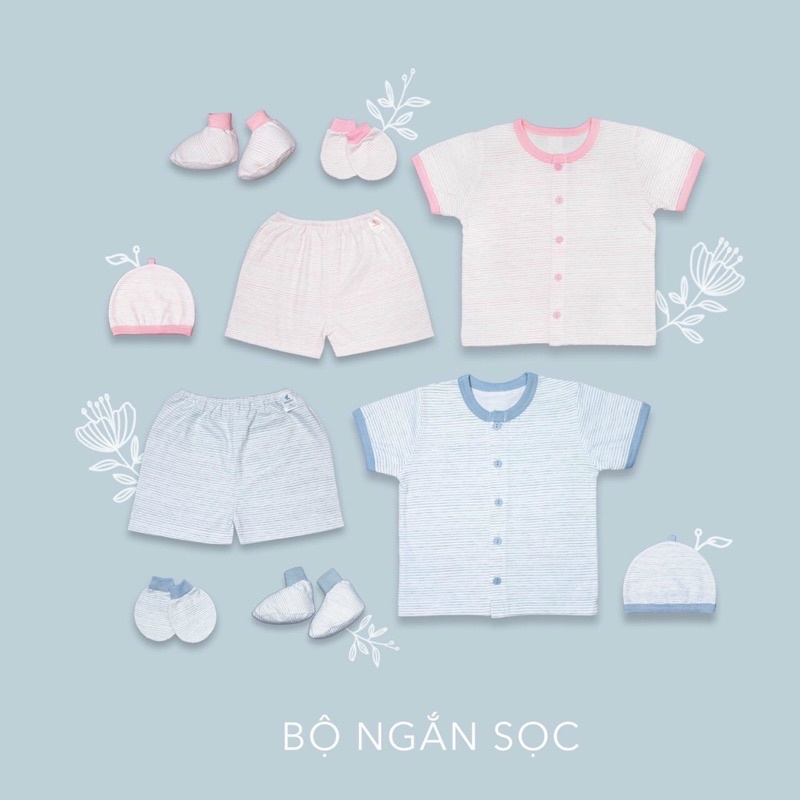 Bộ tay ngắn cotton miomio-Bộ cotton miomio