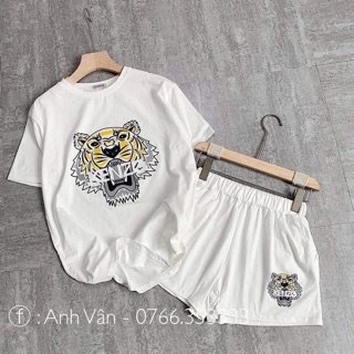 Đồ bộ thể thao❤FREESHIP❤Đồ bộ mặc nhà