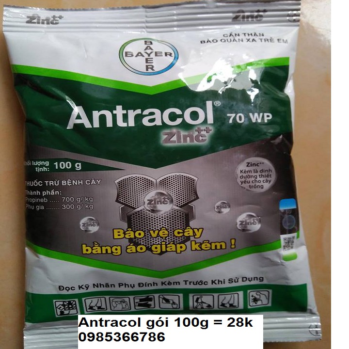 Antracol trị thối nhũn hoa lan và cây trồng thuốc đặc trị nấm