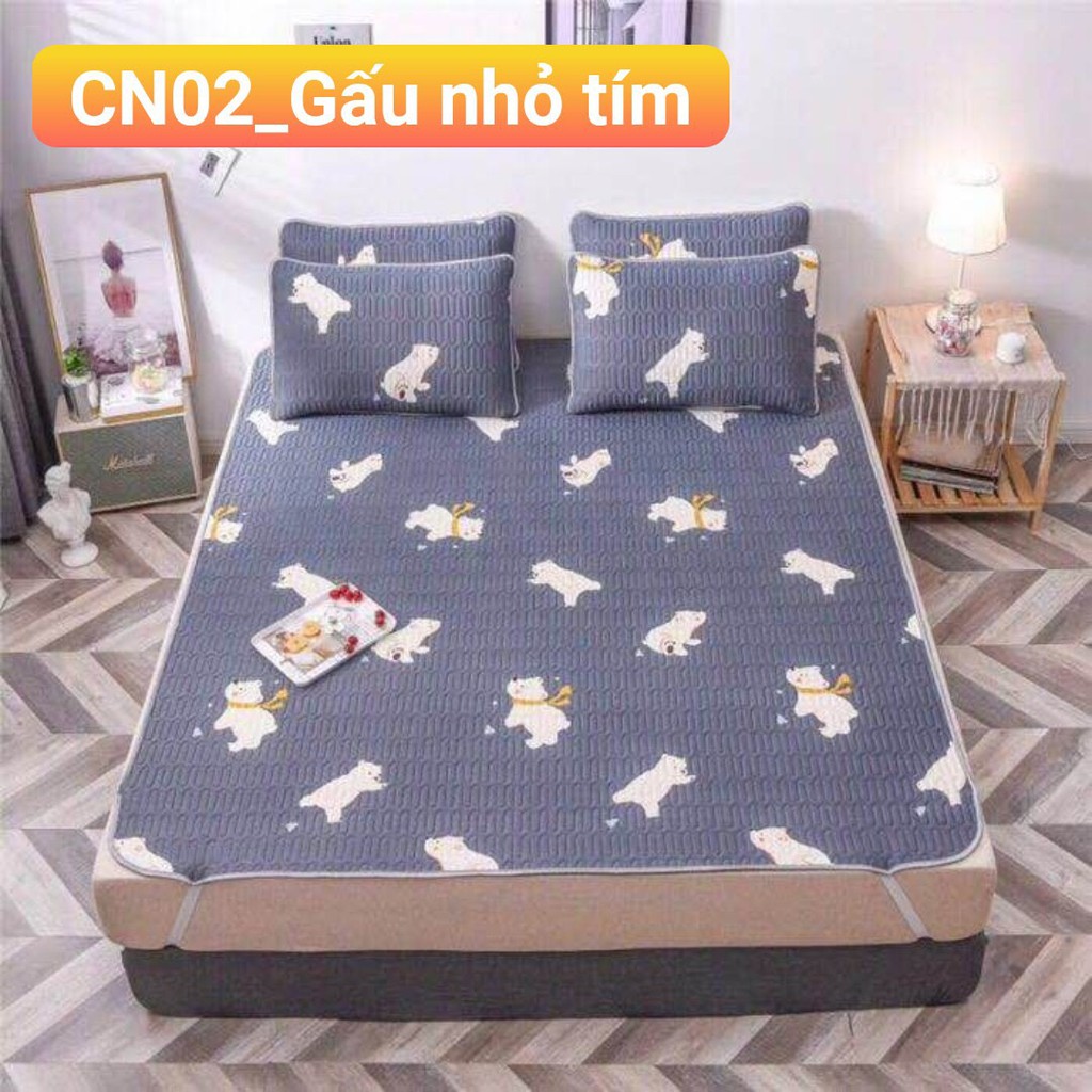 Chiếu điều hòa tencel,chiếu cao su non 2D,mẫu mưa hoa xanh